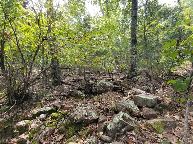 $137,500 | 9519 Madison Street, Fredericktown, MO 63645