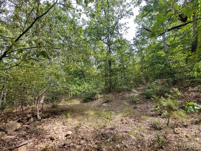 $137,500 | 9519 Madison Street, Fredericktown, MO 63645