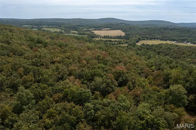 $137,500 | 9519 Madison Street, Fredericktown, MO 63645