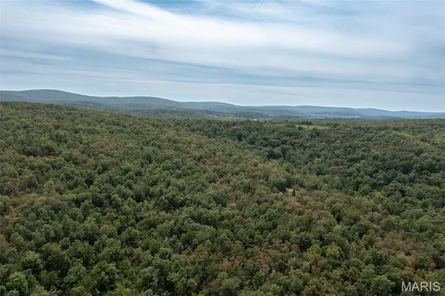 $137,500 | 9519 Madison Street, Fredericktown, MO 63645