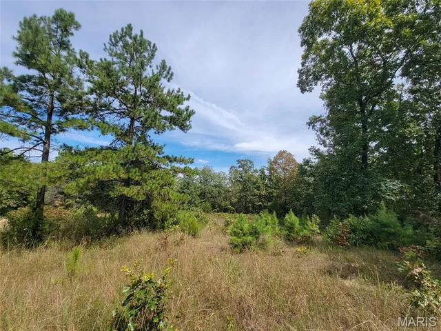 $137,500 | 9519 Madison Street, Fredericktown, MO 63645