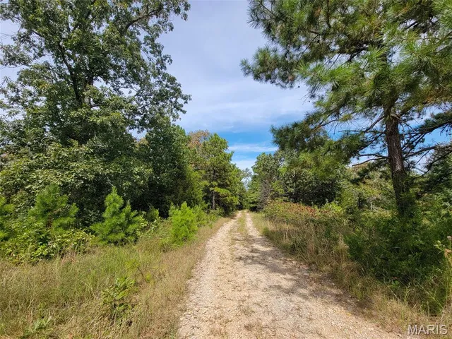 $137,500 | 9519 Madison Street, Fredericktown, MO 63645