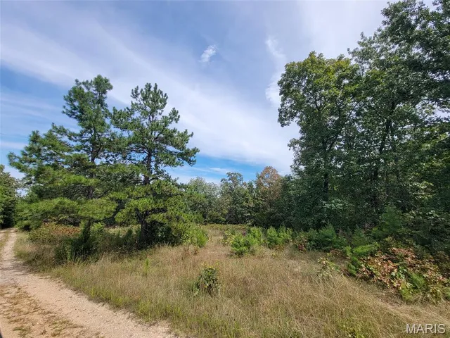 $137,500 | 9519 Madison Street, Fredericktown, MO 63645