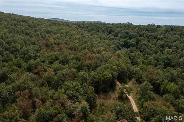 $137,500 | 9519 Madison Street, Fredericktown, MO 63645