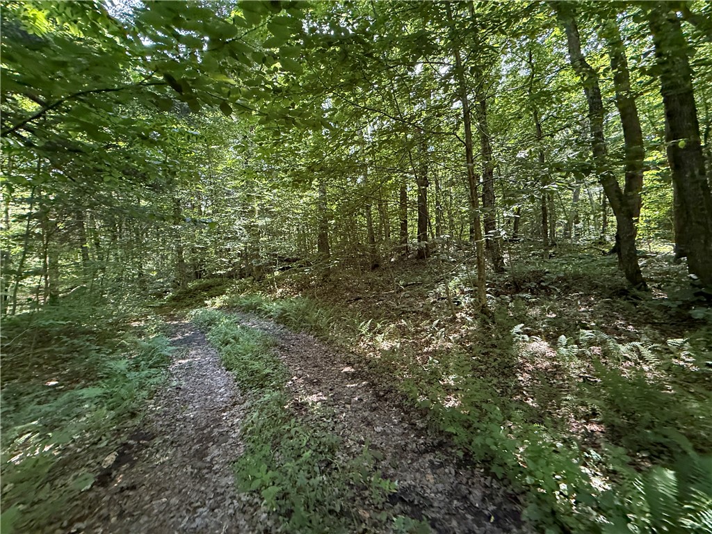 V/l Beaver Creek Road Redfield, NY 13437 - Photo 27 of 35 Gallery Image 27