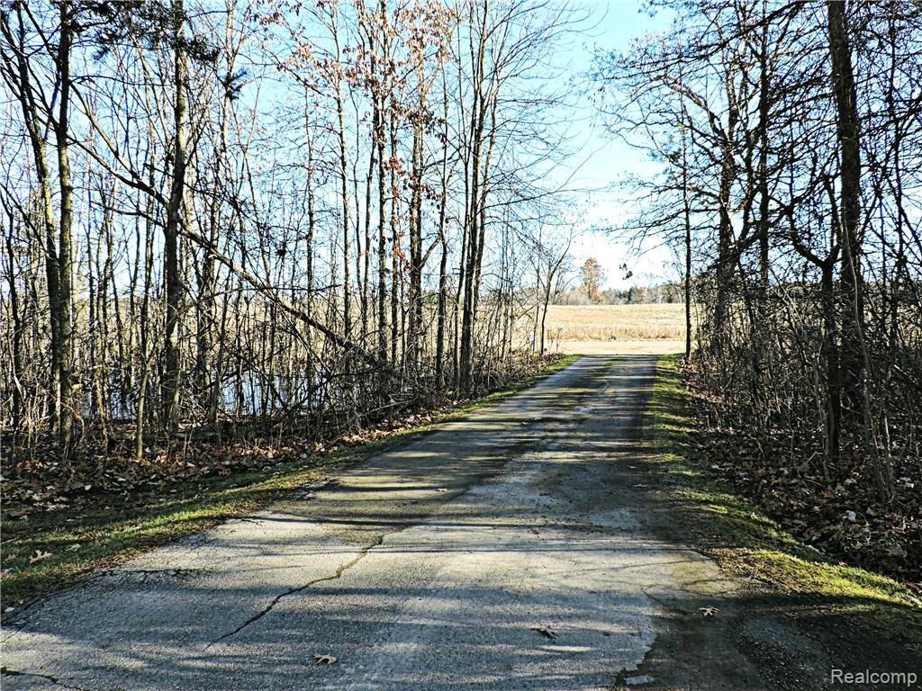 23 Barron Road Ortonville, MI 48462 - Photo 50 of 50 DSCN5985.JPG