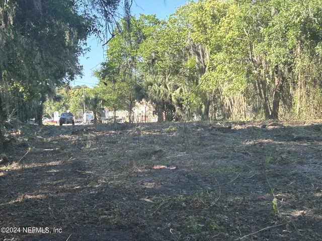 a view of a yard with a tree