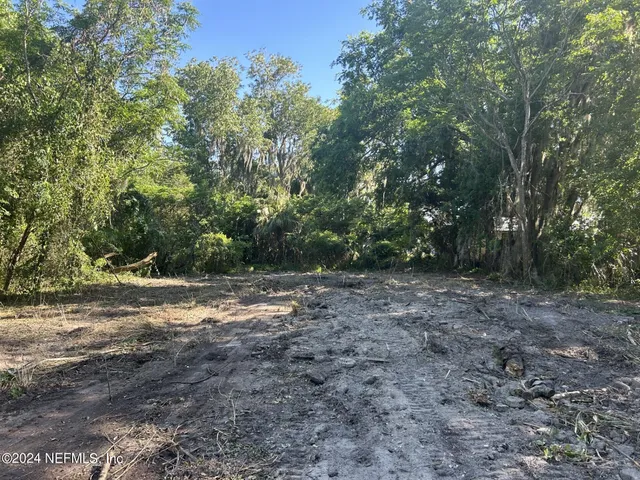 a view of a yard with large trees
