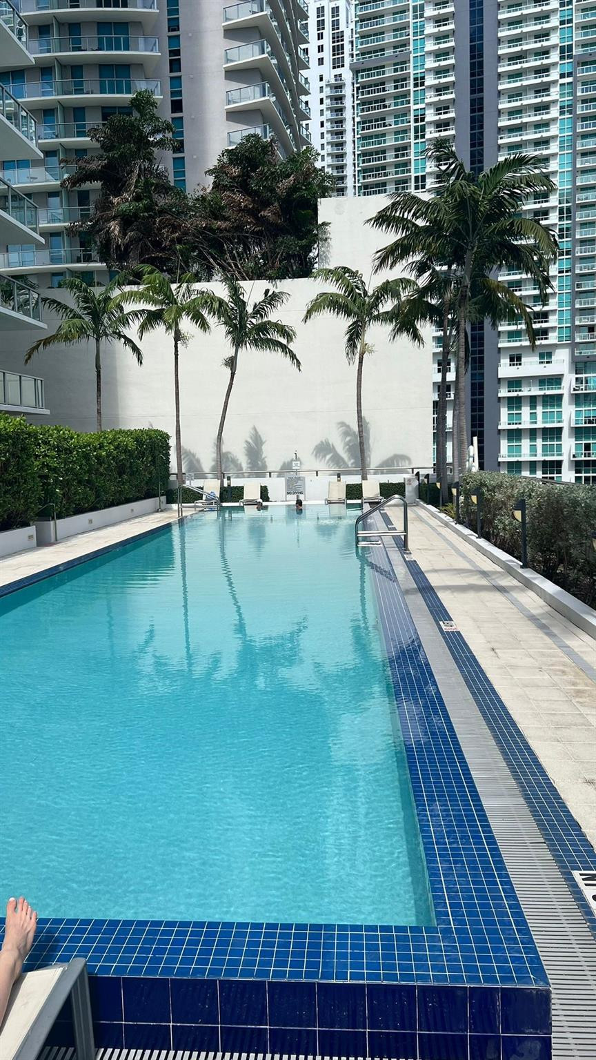 79 Southwest 12th Street, Unit 2908S Miami, FL 33130 - Photo 6 of 29 a view of swimming pool with outdoor seating and plants