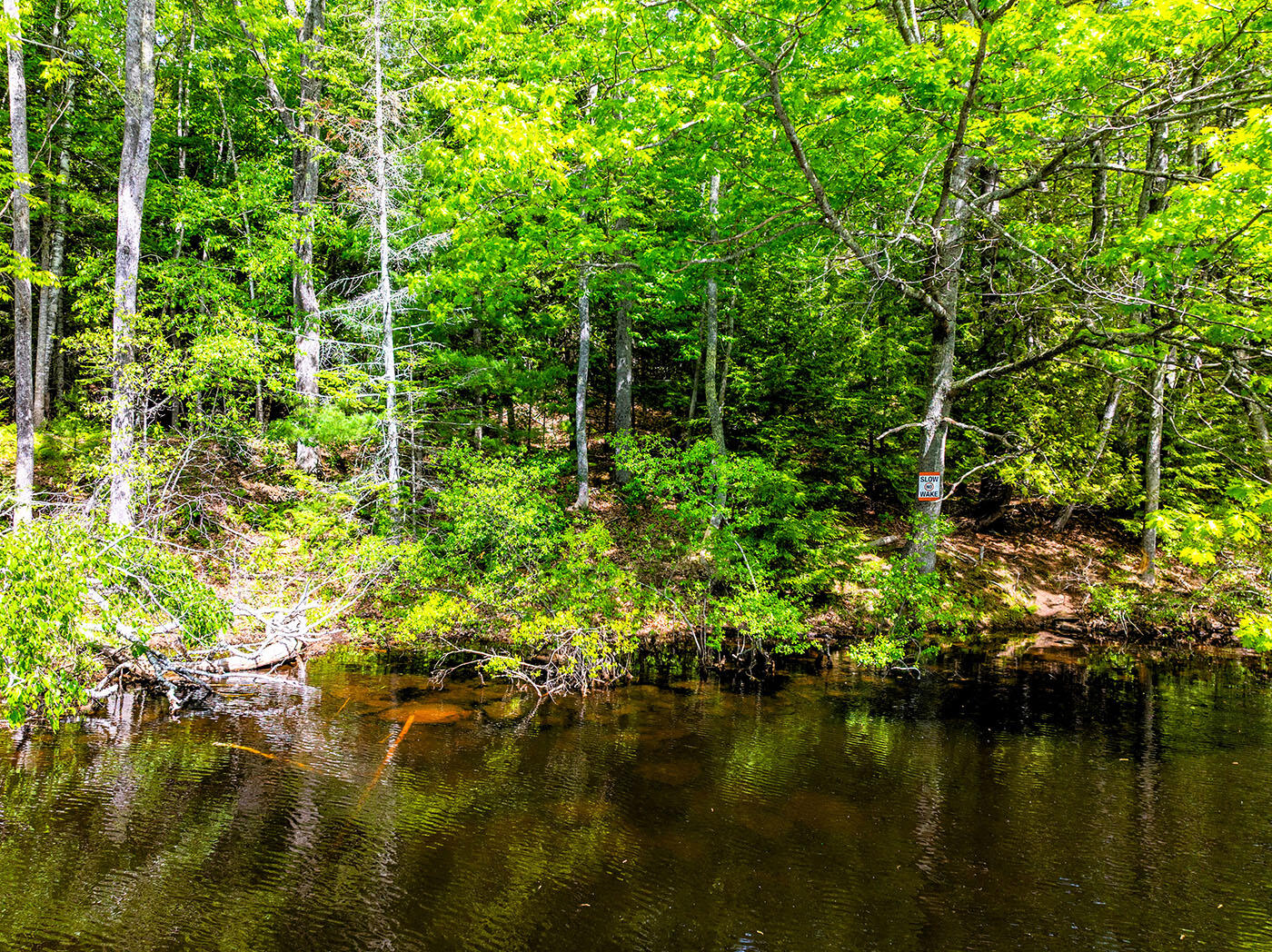 0 Narrows Road Lincolnville, ME 04849 - Photo 13 of 19 DJI_0702
