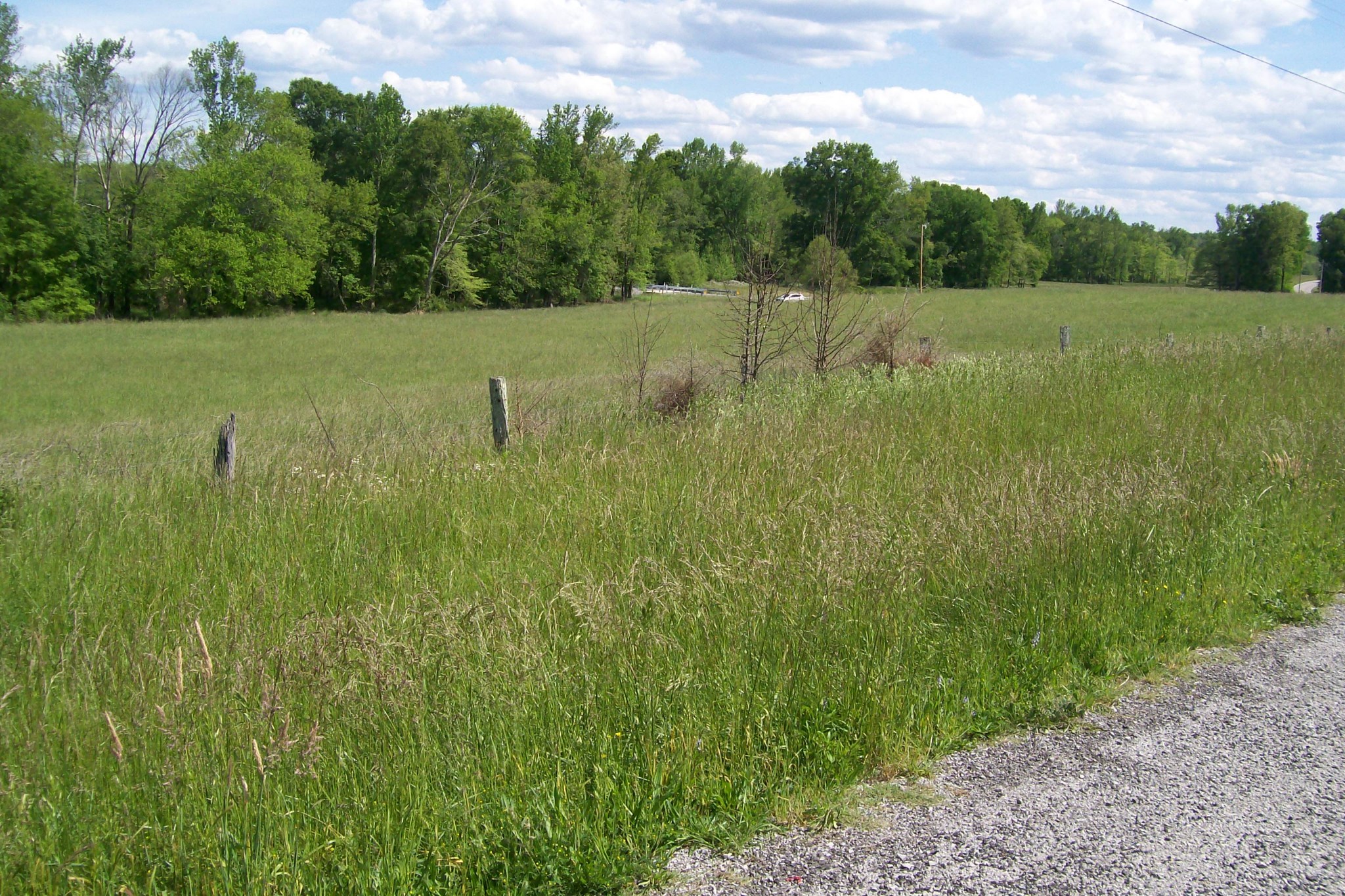 11501 Old Kentucky Road Walling, TN 38587 - Photo 14 of 19 Gallery Image 14