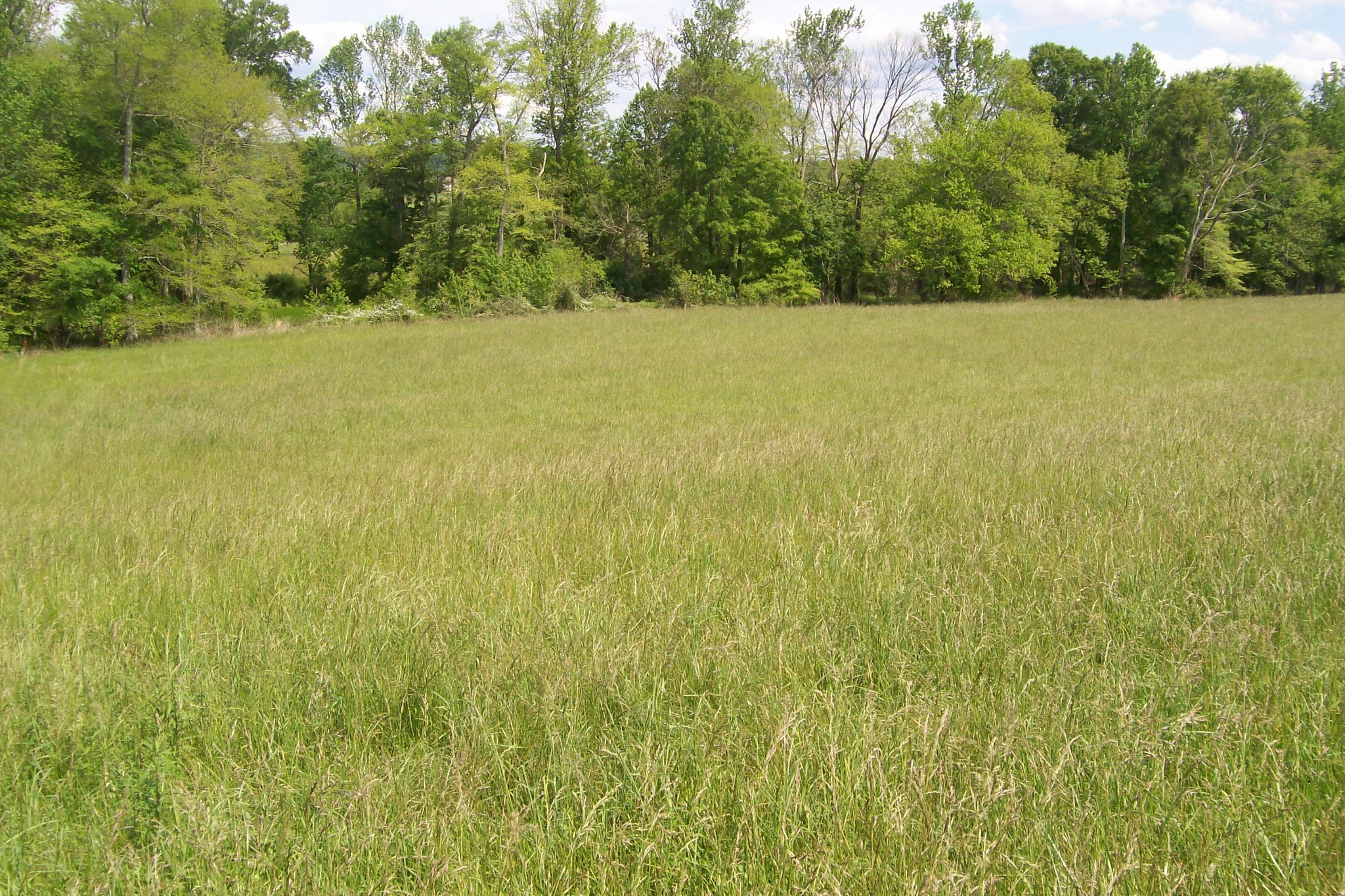 11501 Old Kentucky Road Walling, TN 38587 - Photo 4 of 19 Gallery Image 4