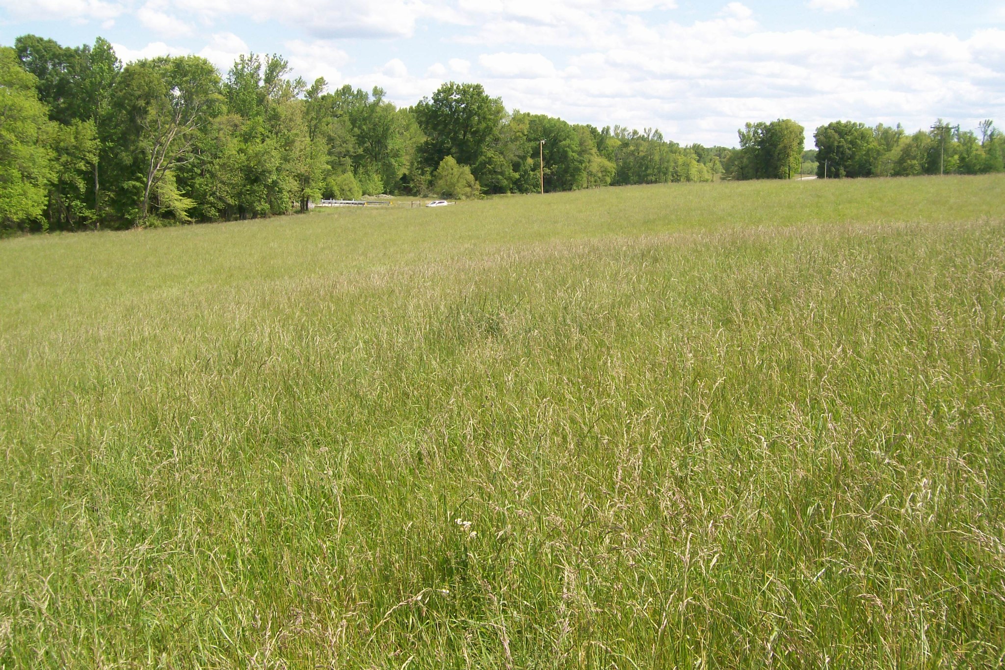 11501 Old Kentucky Road Walling, TN 38587 - Photo 7 of 19 Gallery Image 7