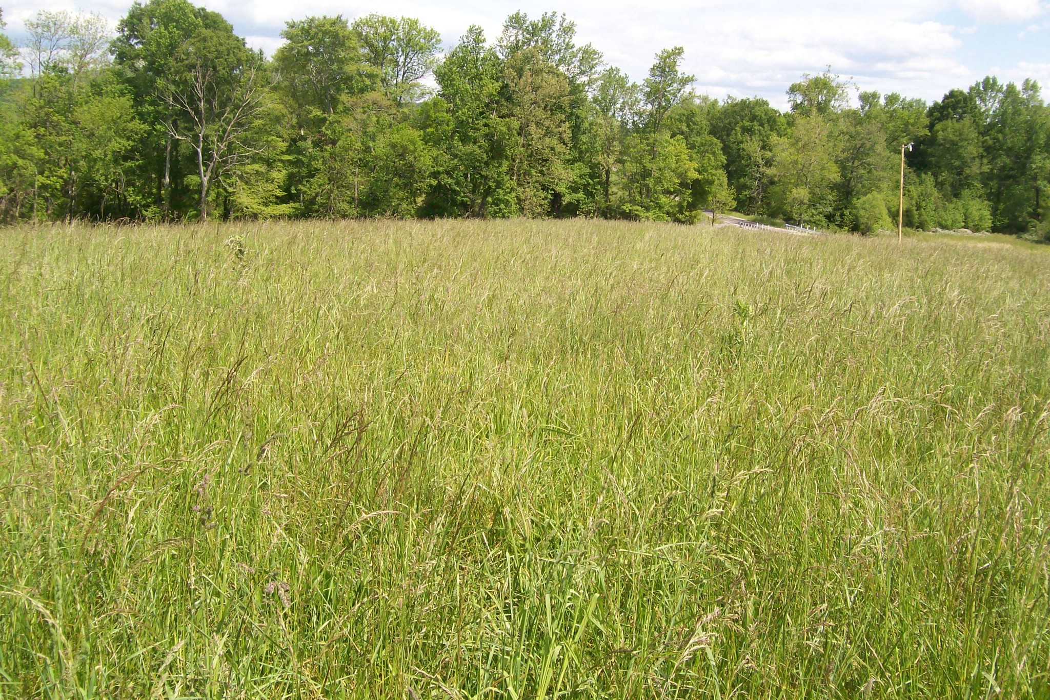 11501 Old Kentucky Road Walling, TN 38587 - Photo 8 of 19 Gallery Image 8