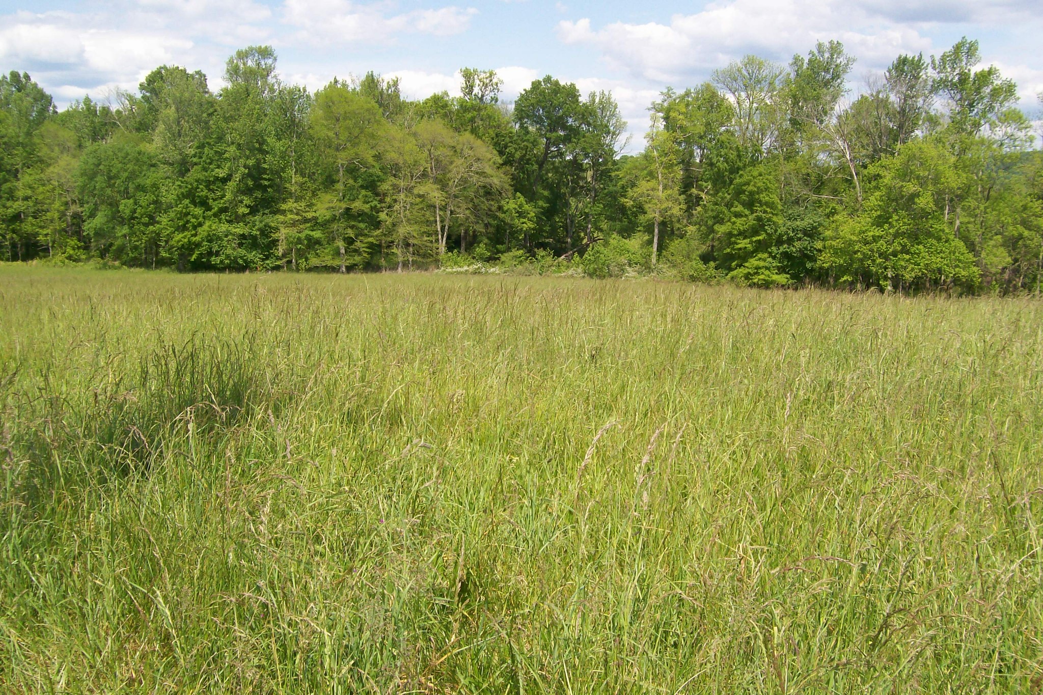 11501 Old Kentucky Road Walling, TN 38587 - Photo 9 of 19 Gallery Image 9