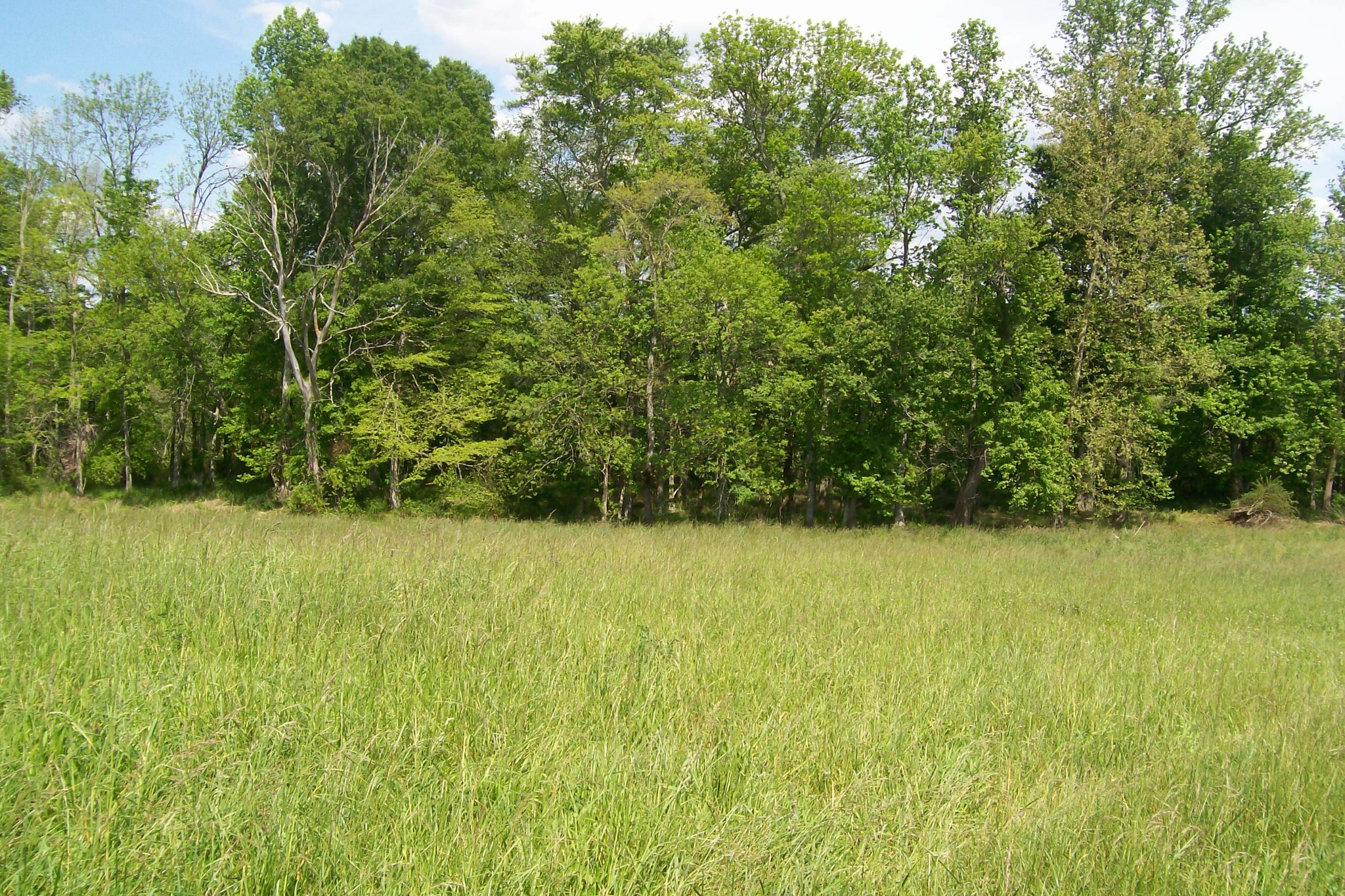 11501 Old Kentucky Road Walling, TN 38587 - Photo 10 of 19 Gallery Image 10
