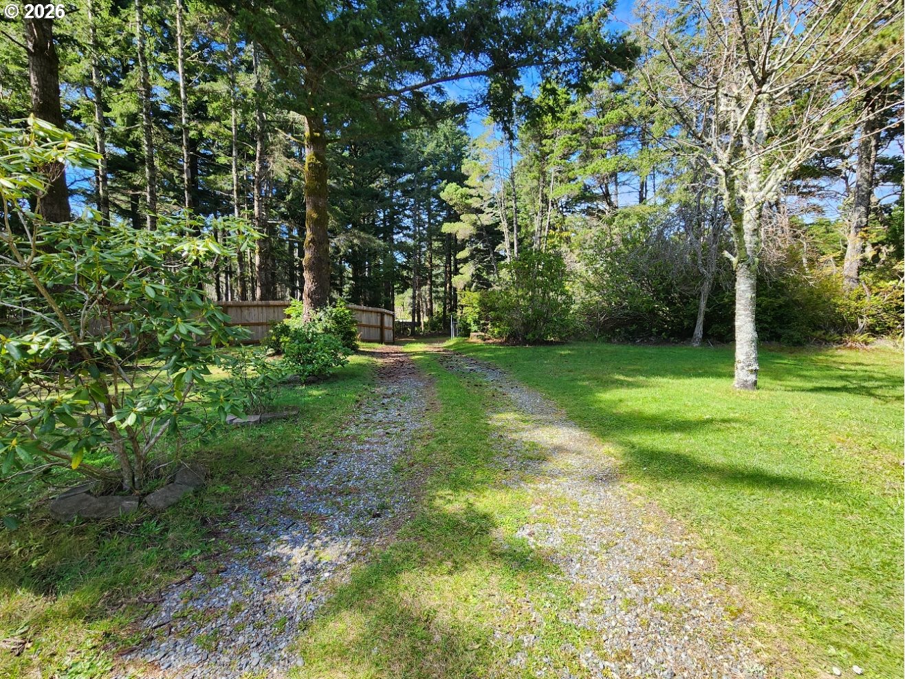 92504 Paradise Point Road Port Orford, OR 97465 - Photo 29 of 39 a view of a trees in a yard