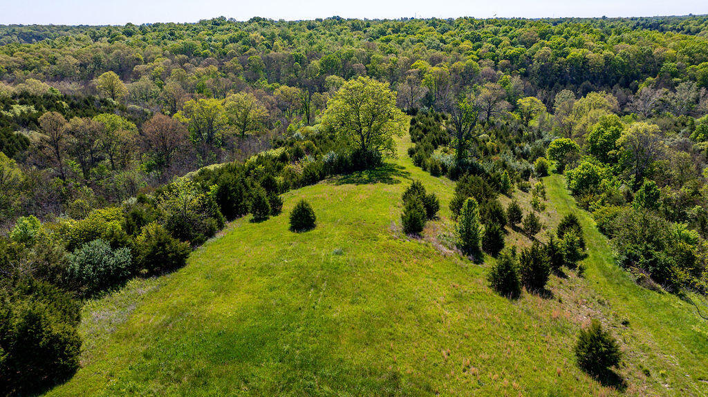 2300 Taft Highway Dry Ridge, KY 41035 - Photo 29 of 31