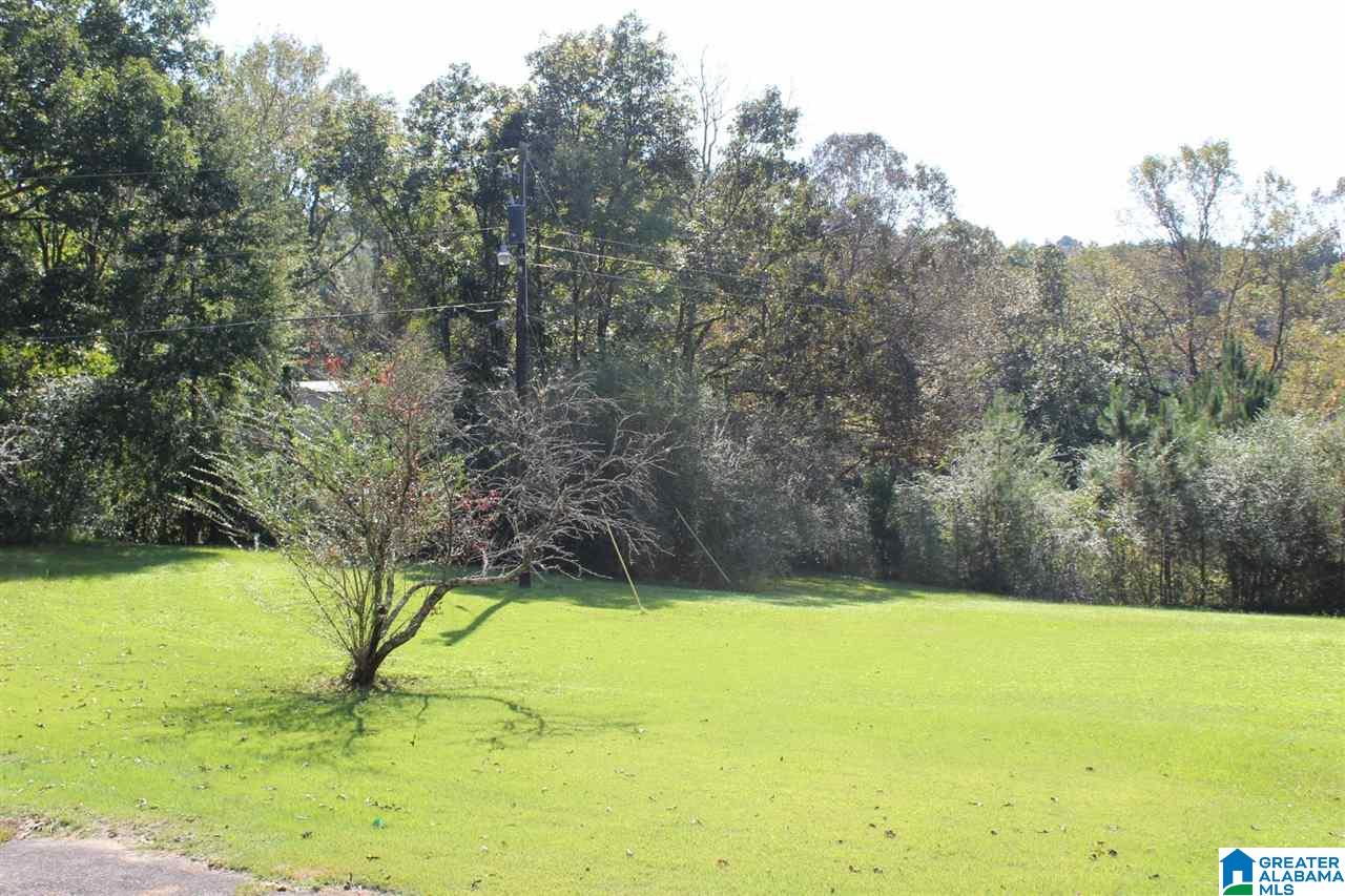 2001 Chenoor Road Birmingham, AL 35217 - Photo 8 of 29