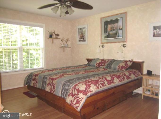 9465 General Winder Road Rapidan, VA 22733 - Photo 8 of 29 Bath (Master)