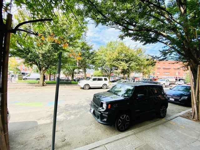 a view of a garden with trees