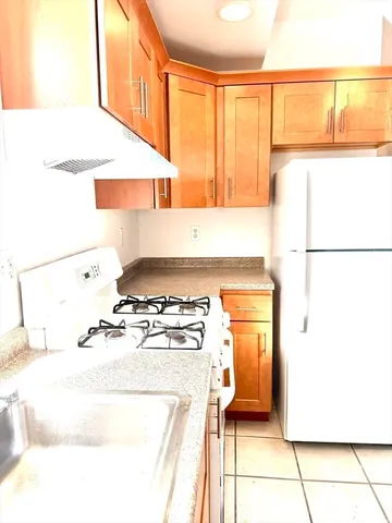 a kitchen with a stove a sink and a refrigerator