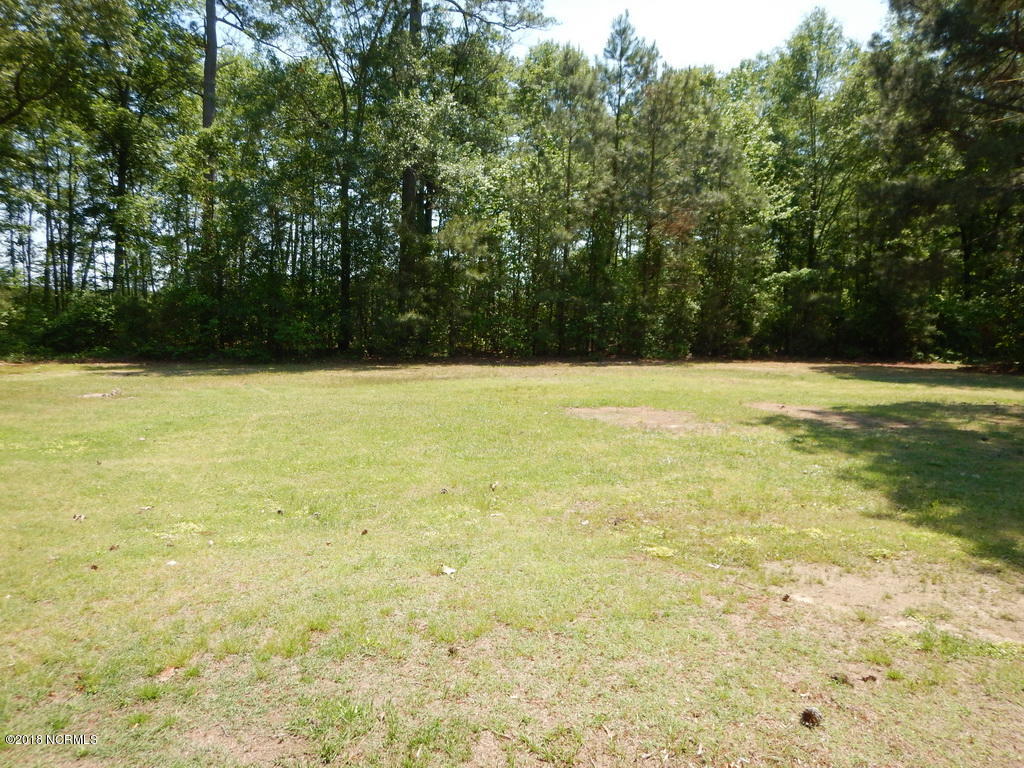 582 Bronty Road Greenville, NC 27834 - Photo 3 of 9 15 BACKYARD