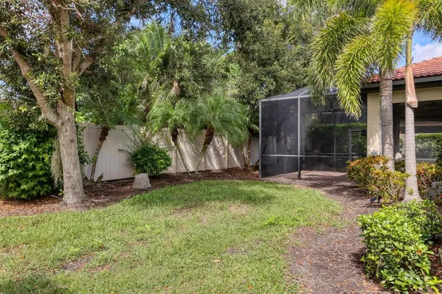 a view of a backyard with a tree