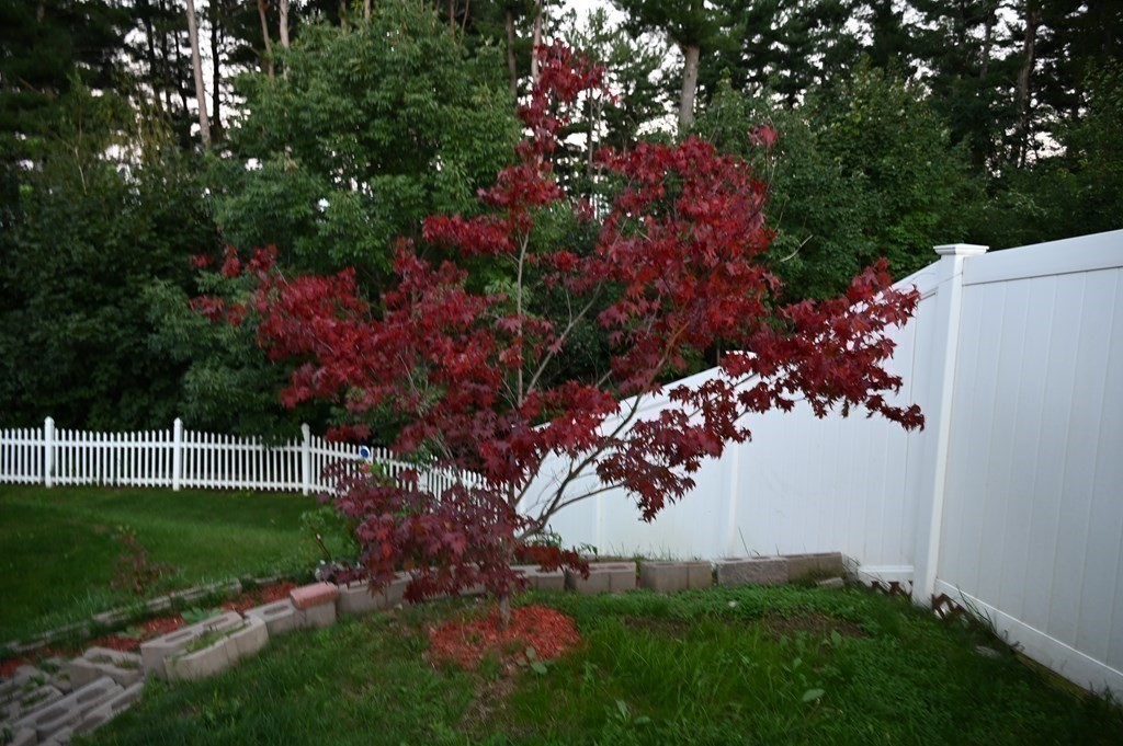 6 Shawnee Road Worcester, MA 01606 - Photo 36 of 39 a view of a backyard