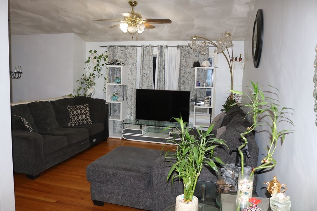 6 Shawnee Road Worcester, MA 01606 - Photo 6 of 39 a living room with furniture a flat screen tv and a potted plant