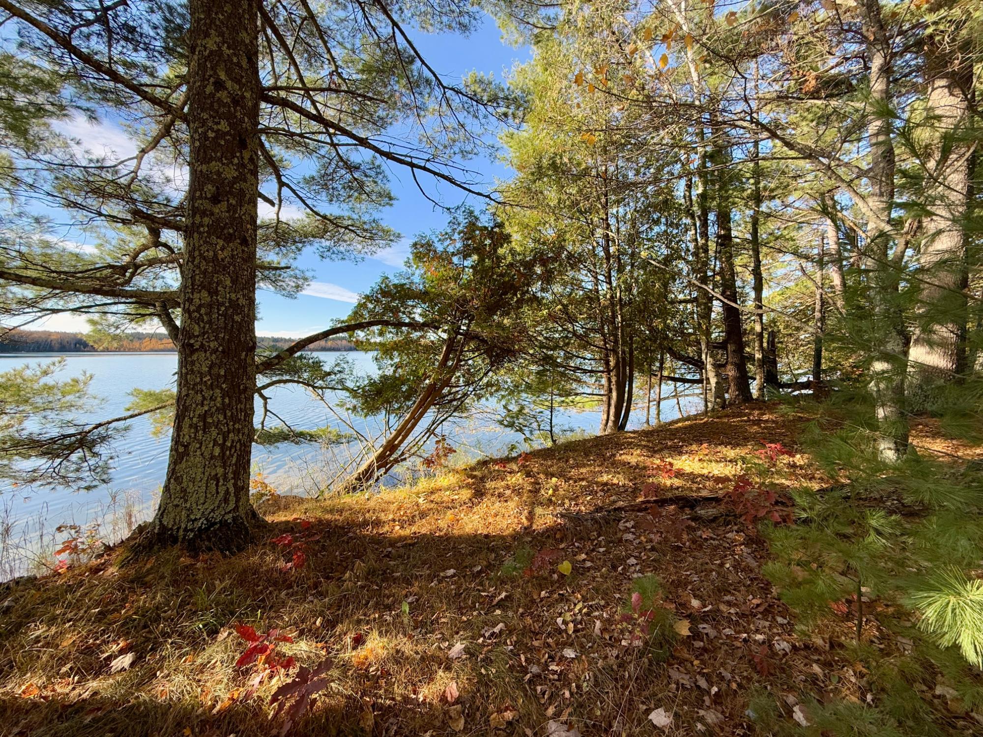 7923 Jansen Road Minocqua, WI 54548 - Photo 7 of 35 Gallery Image 7