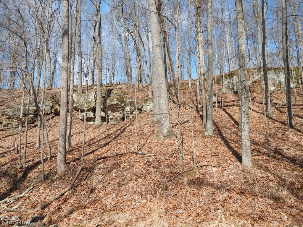 Off Sengtown Road Smithville, WV 26178 - Photo 13 of 18
