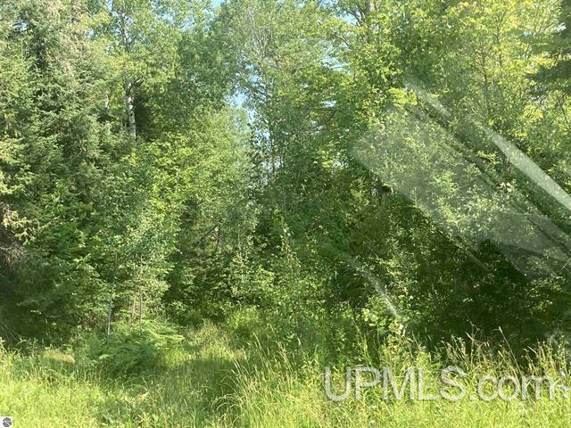 Tbd Tbd County Line Road Pelkie, MI 49958 - Photo 1 of 5