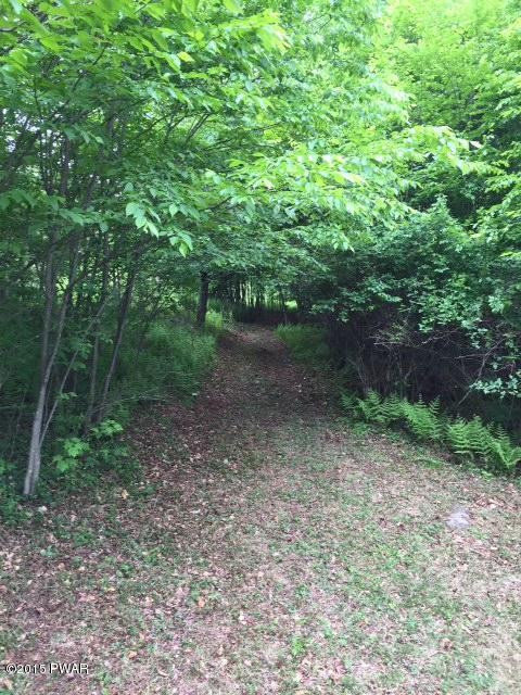 Whitleigh Road Equinunk, PA 18417 - Photo 10 of 10