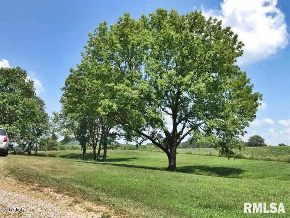 105 East Glendale Road Simpson, IL 62985 - Photo 12 of 39 Gallery Image 12