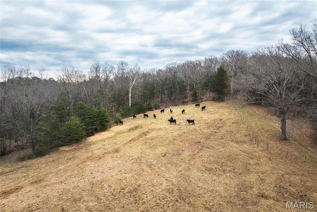 $1,475,000 | 1933 1st Creek Road, Hermann, MO 65041