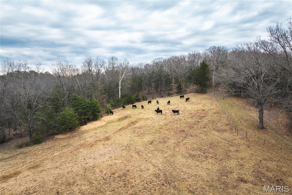 1933 1st Creek Road Hermann, MO 65041 - Photo 23 of 89