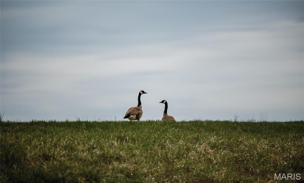 1933 1st Creek Road Hermann, MO 65041 - Photo 33 of 89
