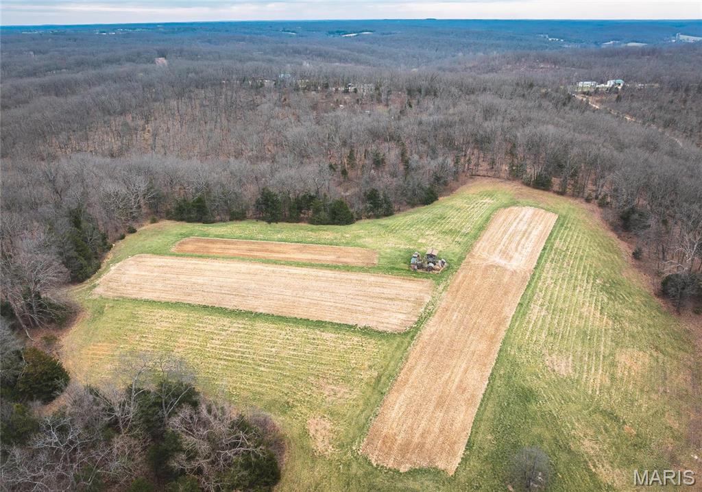 1933 1st Creek Road Hermann, MO 65041 - Photo 34 of 89