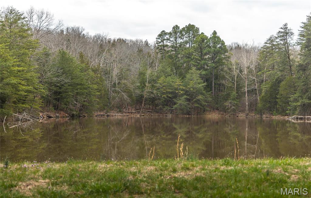 1933 1st Creek Road Hermann, MO 65041 - Photo 37 of 89