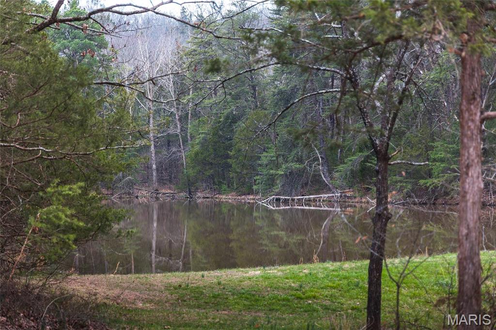 1933 1st Creek Road Hermann, MO 65041 - Photo 42 of 89