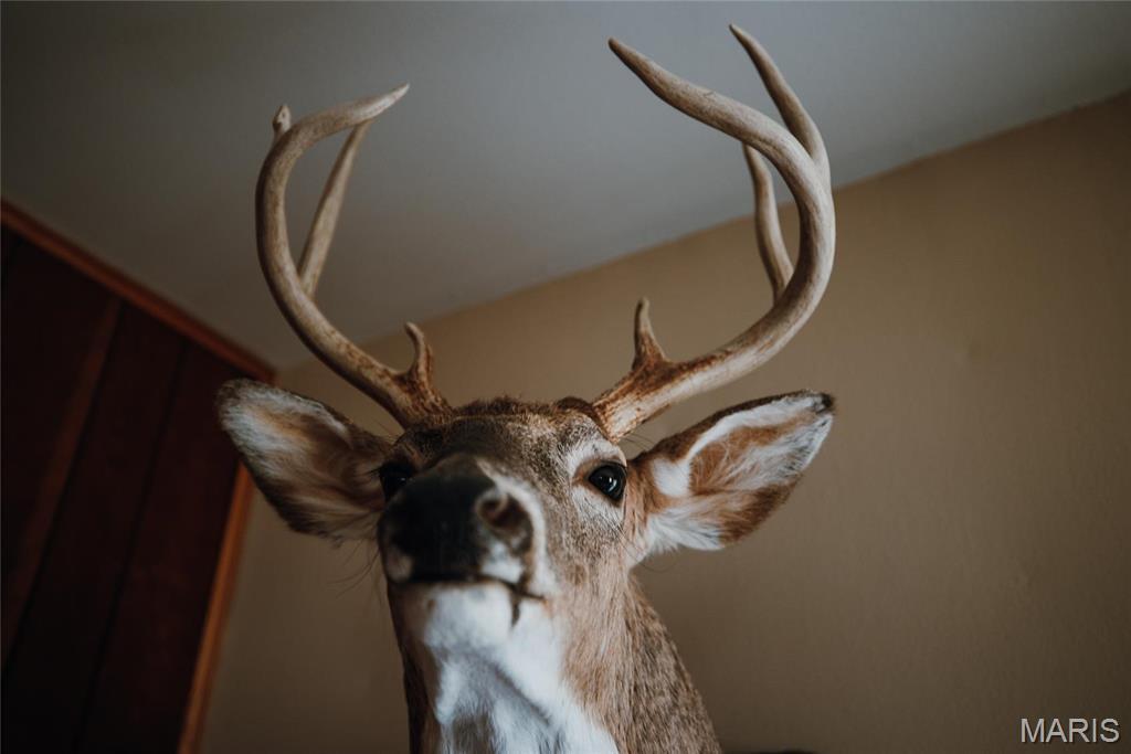1933 1st Creek Road Hermann, MO 65041 - Photo 44 of 89