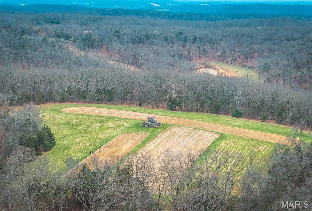 1933 1st Creek Road Hermann, MO 65041 - Photo 6 of 89