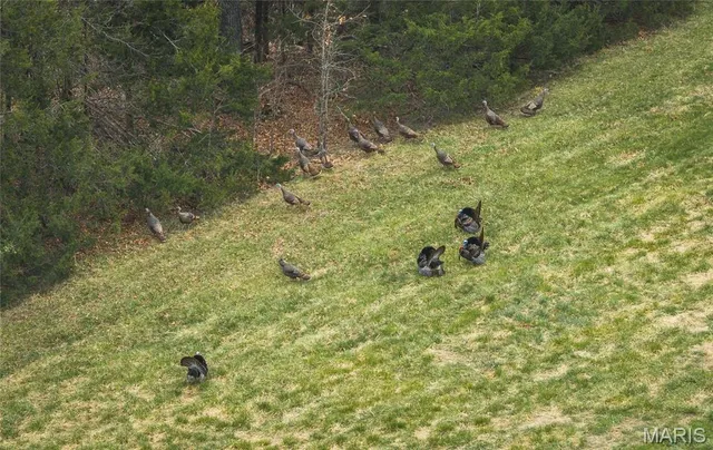 $1,475,000 | 1933 1st Creek Road, Hermann, MO 65041