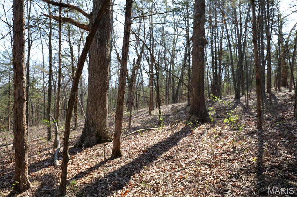 1933 1st Creek Road Hermann, MO 65041 - Photo 75 of 89