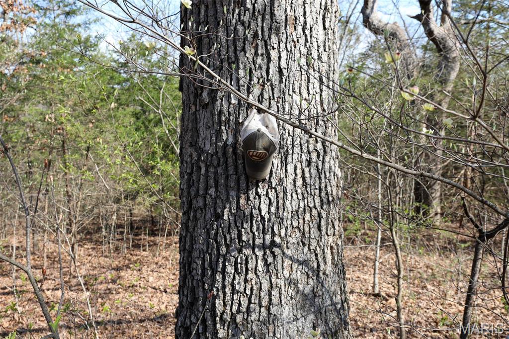 1933 1st Creek Road Hermann, MO 65041 - Photo 77 of 89