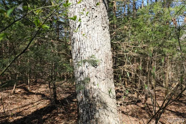 $1,475,000 | 1933 1st Creek Road, Hermann, MO 65041