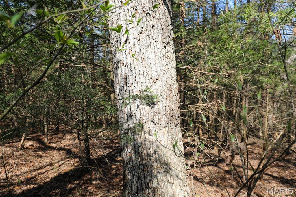 1933 1st Creek Road Hermann, MO 65041 - Photo 78 of 89