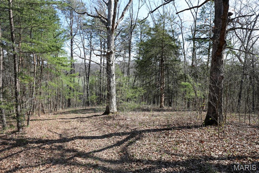 1933 1st Creek Road Hermann, MO 65041 - Photo 79 of 89