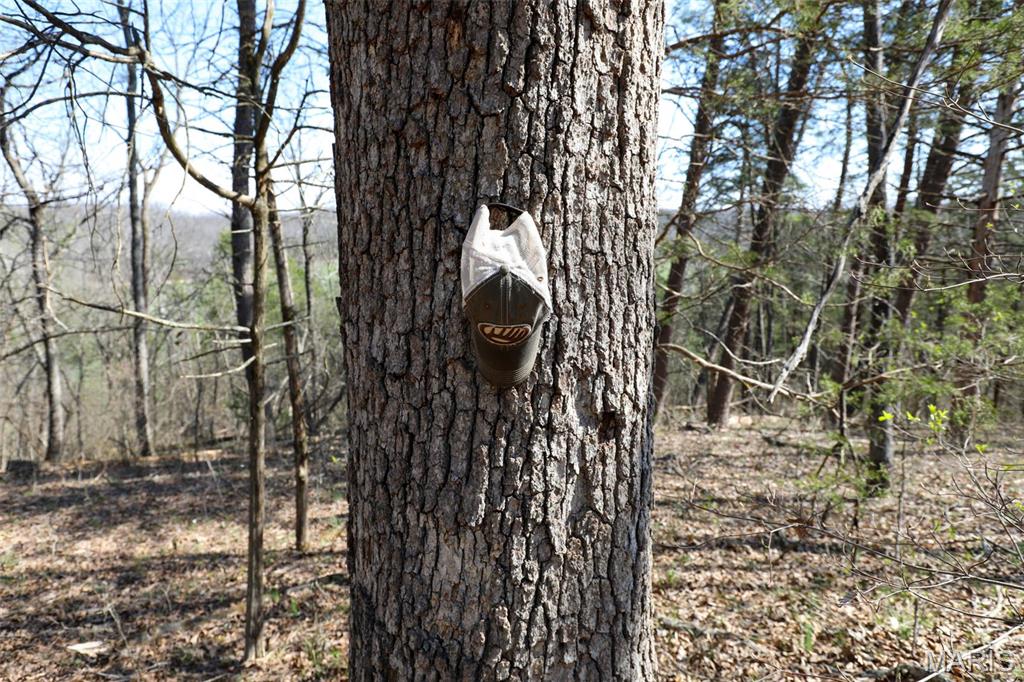 1933 1st Creek Road Hermann, MO 65041 - Photo 80 of 89